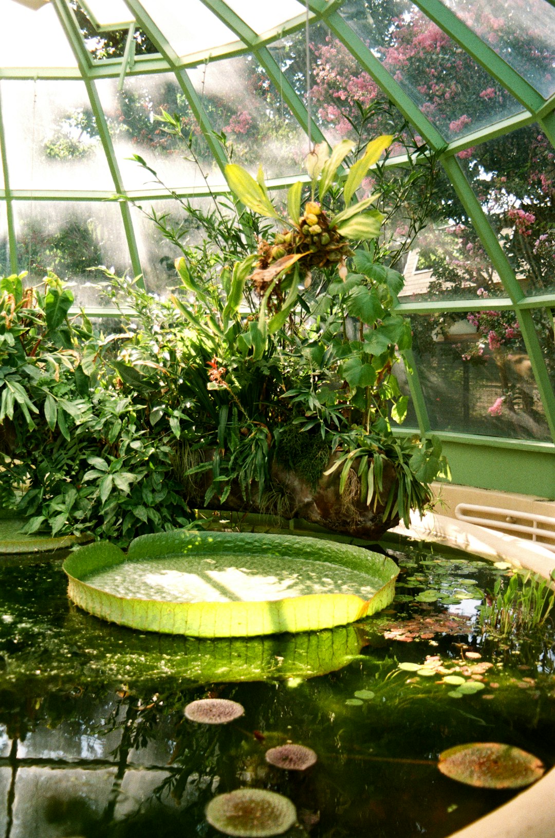 Terraced Garden Design