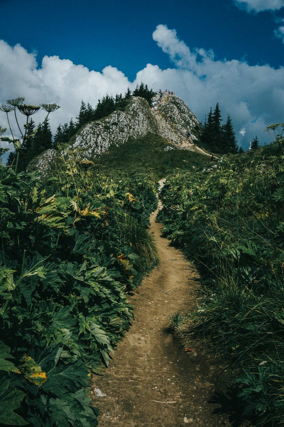 Traditional Bulgarian Stone Pathway